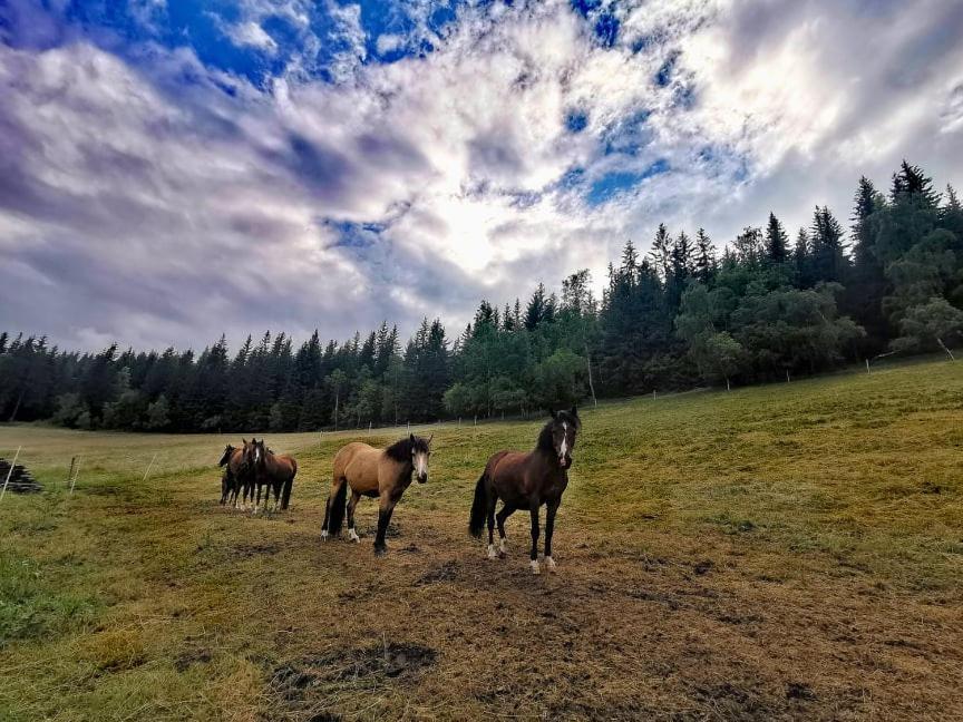 Penzion Na Vyhlídce Strážné Exteriér fotografie