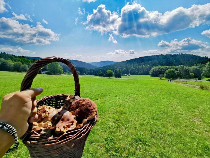 Penzion Na Vyhlídce Strážné Exteriér fotografie